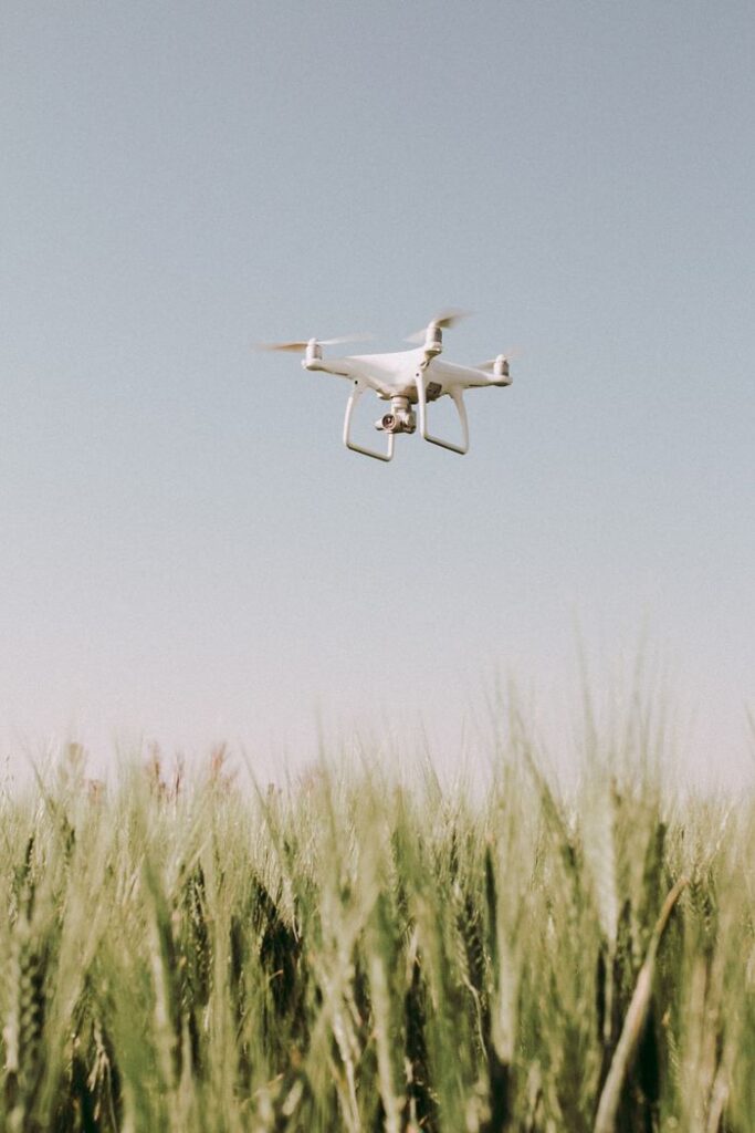 A white drone flying over a lush green wheat field under a clear blue sky.